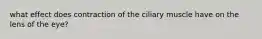 what effect does contraction of the ciliary muscle have on the lens of the eye?