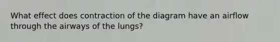 What effect does contraction of the diagram have an airflow through the airways of the lungs?