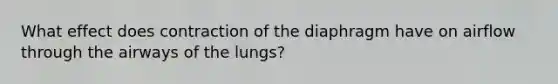 What effect does contraction of the diaphragm have on airflow through the airways of the lungs?