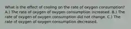 What is the effect of cooling on the rate of oxygen consumption? A.) The rate of oxygen of oxygen consumption increased. B.) The rate of oxygen of oxygen consumption did not change. C.) The rate of oxygen of oxygen consumption decreased.