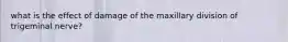 what is the effect of damage of the maxillary division of trigeminal nerve?