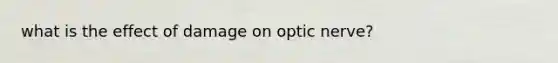 what is the effect of damage on optic nerve?