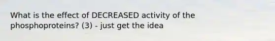 What is the effect of DECREASED activity of the phosphoproteins? (3) - just get the idea