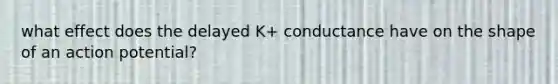 what effect does the delayed K+ conductance have on the shape of an action potential?