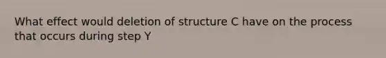 What effect would deletion of structure C have on the process that occurs during step Y