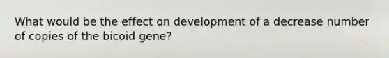 What would be the effect on development of a decrease number of copies of the bicoid gene?