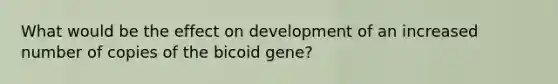 What would be the effect on development of an increased number of copies of the bicoid gene?