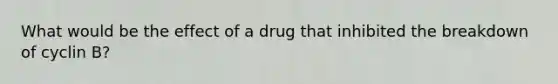 What would be the effect of a drug that inhibited the breakdown of cyclin B?