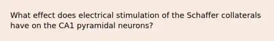 What effect does electrical stimulation of the Schaffer collaterals have on the CA1 pyramidal neurons?