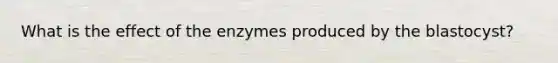 What is the effect of the enzymes produced by the blastocyst?