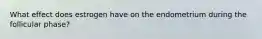 What effect does estrogen have on the endometrium during the follicular phase?