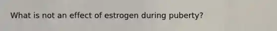 What is not an effect of estrogen during puberty?