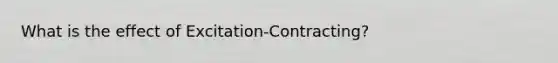 What is the effect of Excitation-Contracting?