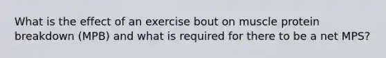 What is the effect of an exercise bout on muscle protein breakdown (MPB) and what is required for there to be a net MPS?