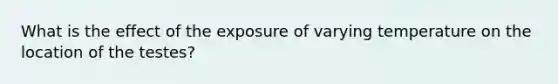 What is the effect of the exposure of varying temperature on the location of the testes?