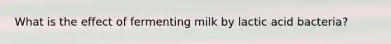 What is the effect of fermenting milk by lactic acid bacteria?