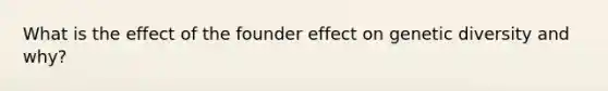 What is the effect of the founder effect on genetic diversity and why?