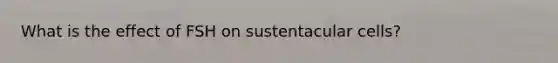 What is the effect of FSH on sustentacular cells?