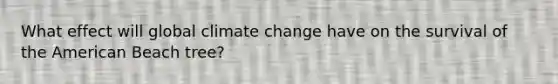 What effect will global <a href='https://www.questionai.com/knowledge/kGrEVp9XiB-climate-change' class='anchor-knowledge'>climate change</a> have on the survival of <a href='https://www.questionai.com/knowledge/keiVE7hxWY-the-american' class='anchor-knowledge'>the american</a> Beach tree?