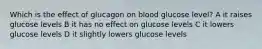 Which is the effect of glucagon on blood glucose level? A it raises glucose levels B it has no effect on glucose levels C it lowers glucose levels D it slightly lowers glucose levels