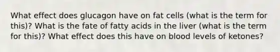 What effect does glucagon have on fat cells (what is the term for this)? What is the fate of fatty acids in the liver (what is the term for this)? What effect does this have on blood levels of ketones?