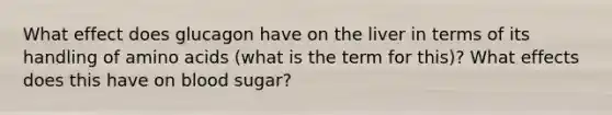 What effect does glucagon have on the liver in terms of its handling of amino acids (what is the term for this)? What effects does this have on blood sugar?