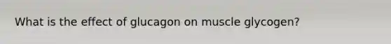 What is the effect of glucagon on muscle glycogen?