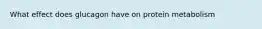 What effect does glucagon have on protein metabolism