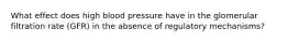 What effect does high blood pressure have in the glomerular filtration rate (GFR) in the absence of regulatory mechanisms?