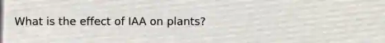 What is the effect of IAA on plants?