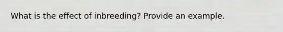 What is the effect of inbreeding? Provide an example.