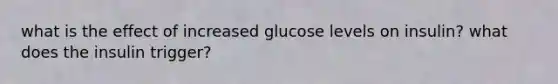 what is the effect of increased glucose levels on insulin? what does the insulin trigger?