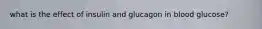 what is the effect of insulin and glucagon in blood glucose?