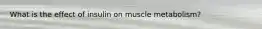 What is the effect of insulin on muscle metabolism?