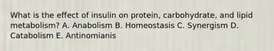 What is the effect of insulin on protein, carbohydrate, and lipid metabolism? A. Anabolism B. Homeostasis C. Synergism D. Catabolism E. Antinomianis