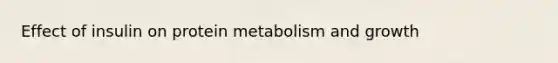 Effect of insulin on protein metabolism and growth