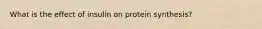 What is the effect of insulin on protein synthesis?