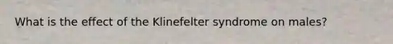 What is the effect of the Klinefelter syndrome on males?