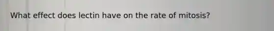 What effect does lectin have on the rate of mitosis?