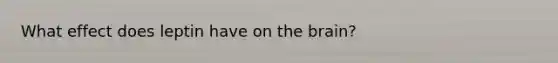 What effect does leptin have on the brain?