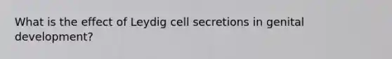 What is the effect of Leydig cell secretions in genital development?