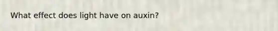 What effect does light have on auxin?