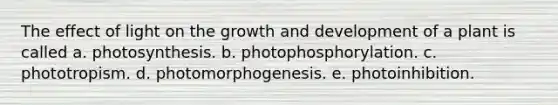 The effect of light on the growth and development of a plant is called a. photosynthesis. b. photophosphorylation. c. phototropism. d. photomorphogenesis. e. photoinhibition.