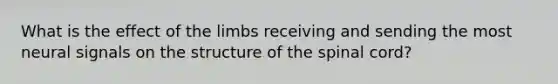 What is the effect of the limbs receiving and sending the most neural signals on the structure of the spinal cord?