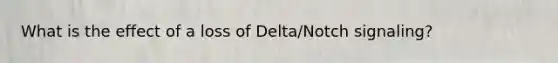 What is the effect of a loss of Delta/Notch signaling?