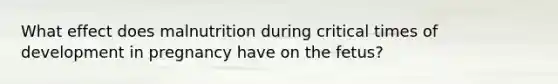 ​What effect does malnutrition during critical times of development in pregnancy have on the fetus?