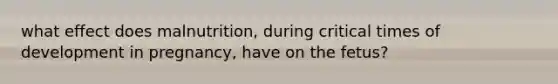 what effect does malnutrition, during critical times of development in pregnancy, have on the fetus?
