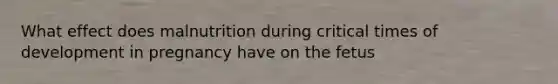 What effect does malnutrition during critical times of development in pregnancy have on the fetus