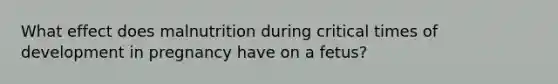 What effect does malnutrition during critical times of development in pregnancy have on a fetus?