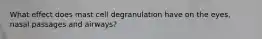 What effect does mast cell degranulation have on the eyes, nasal passages and airways?
